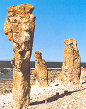 Gotland
